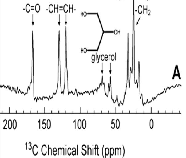 13C Spectrum